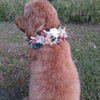 Pet Floral Collar | Click to choose collection