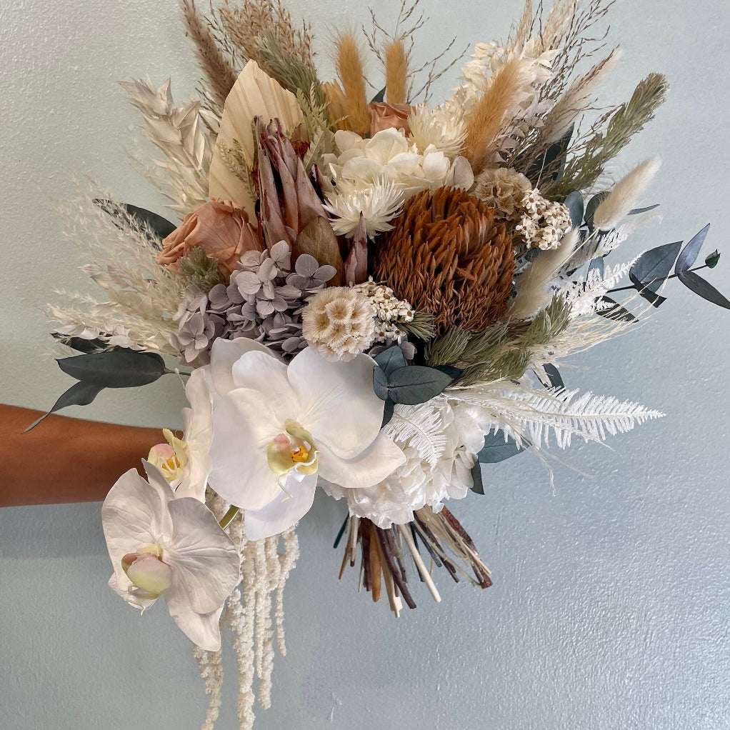 Botanique Collection